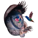 sticker